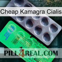 Cheap Kamagra Cialis new04